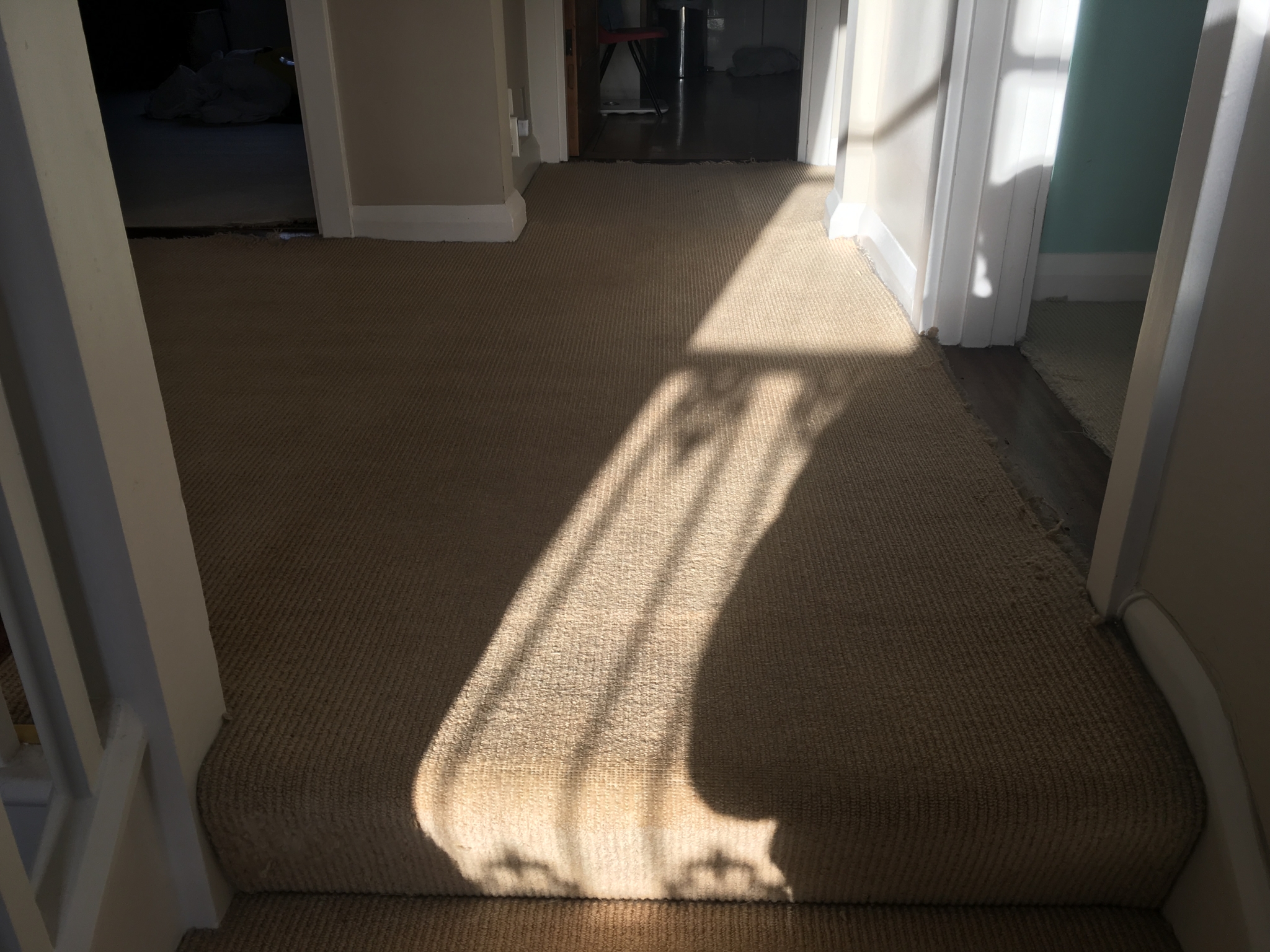 Floor condition before work at BR5