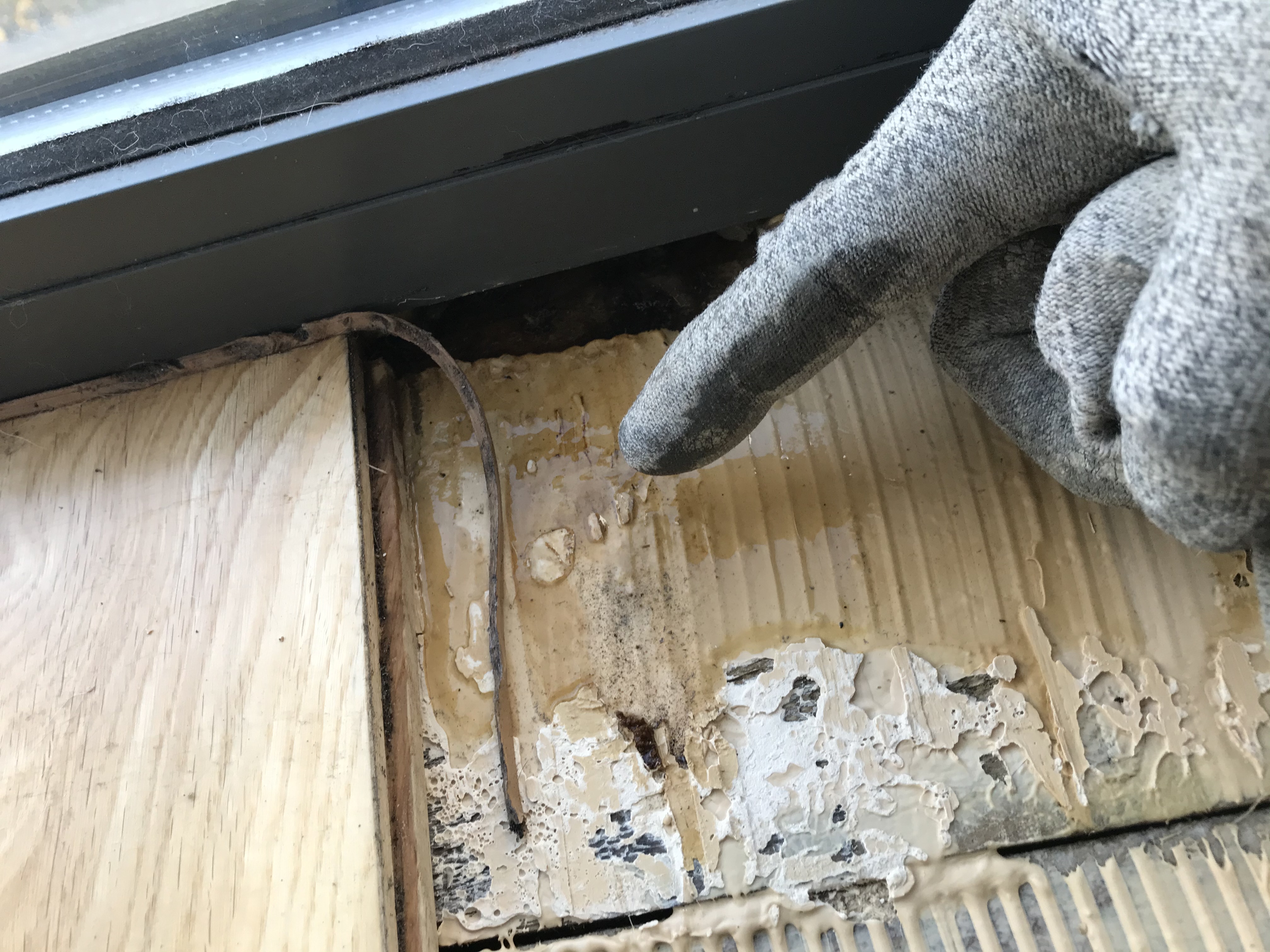 Wood Floor floor after fitting work in E1