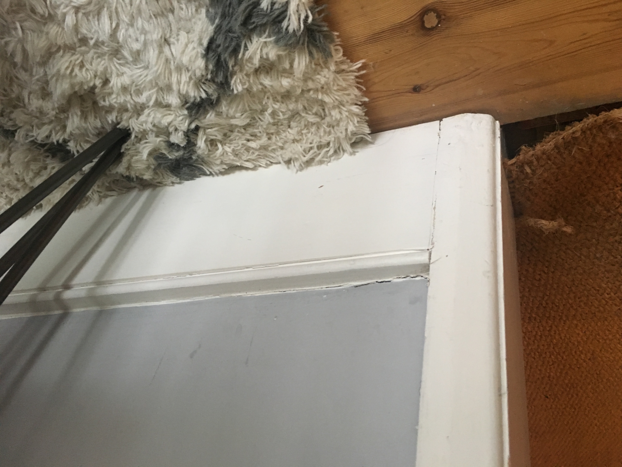 Floor condition before work at N15