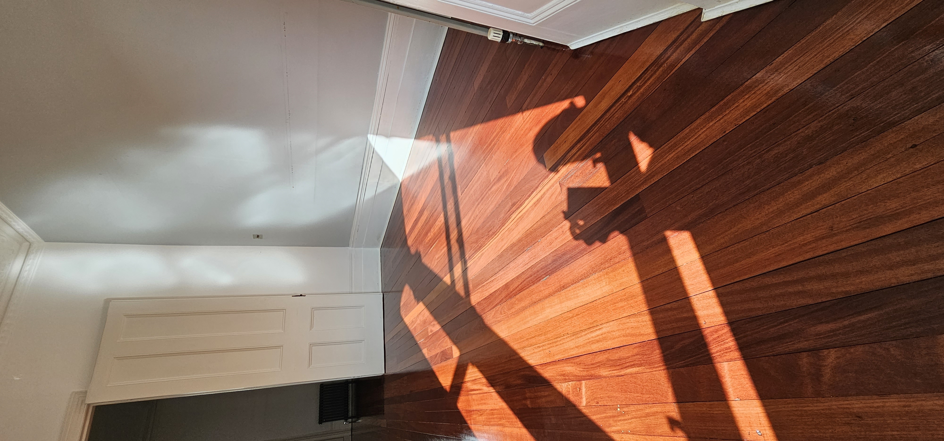 Engineered Wood floor after sanding work in N19