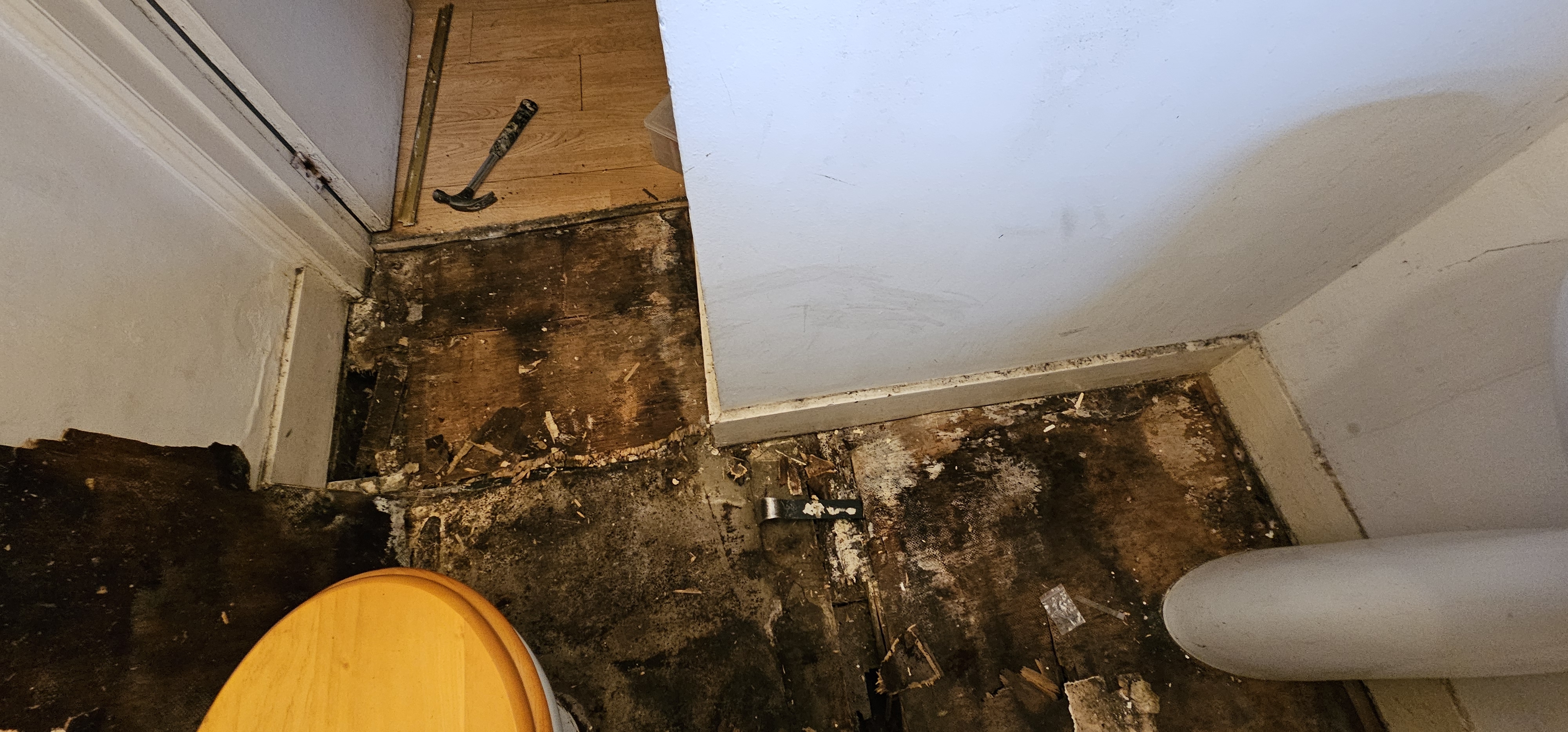 Vinyl floor after sanding work in NW2