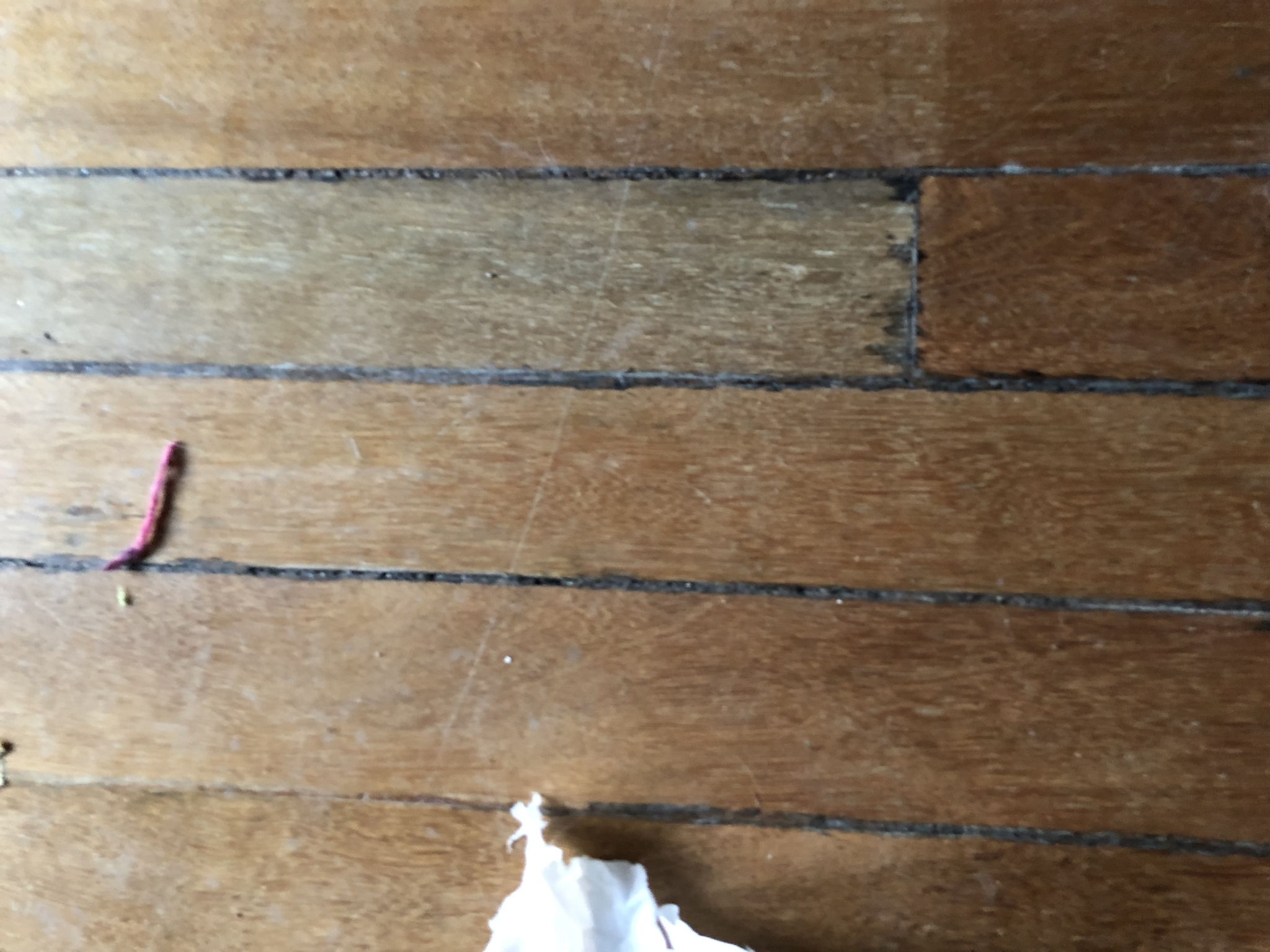 Floor condition before work at SE14