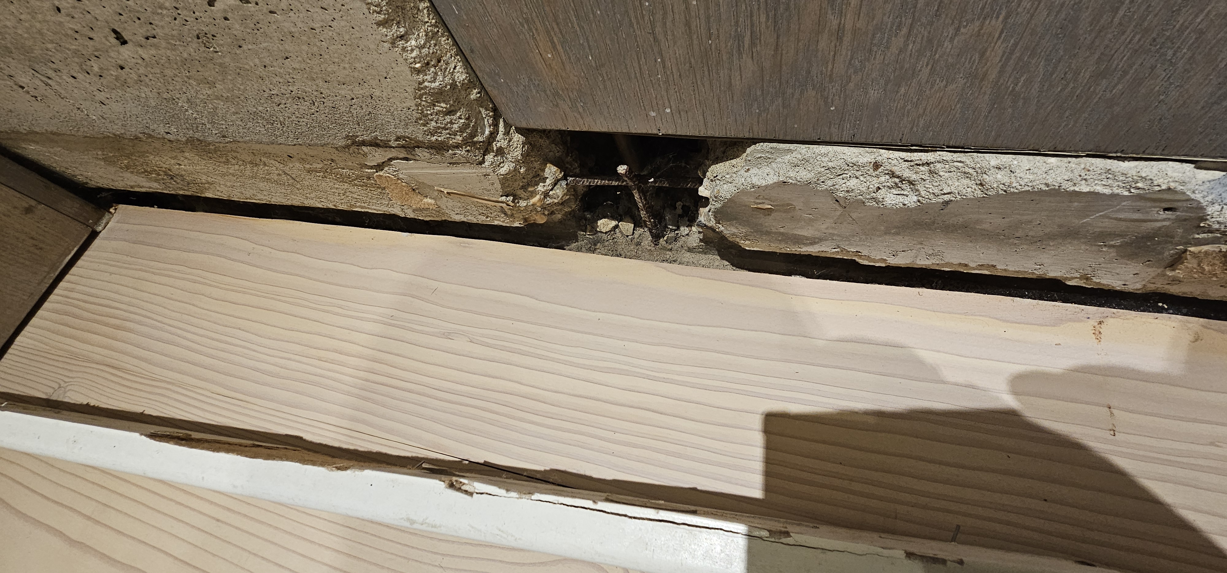 Wood Floor floor after sanding work in SW11