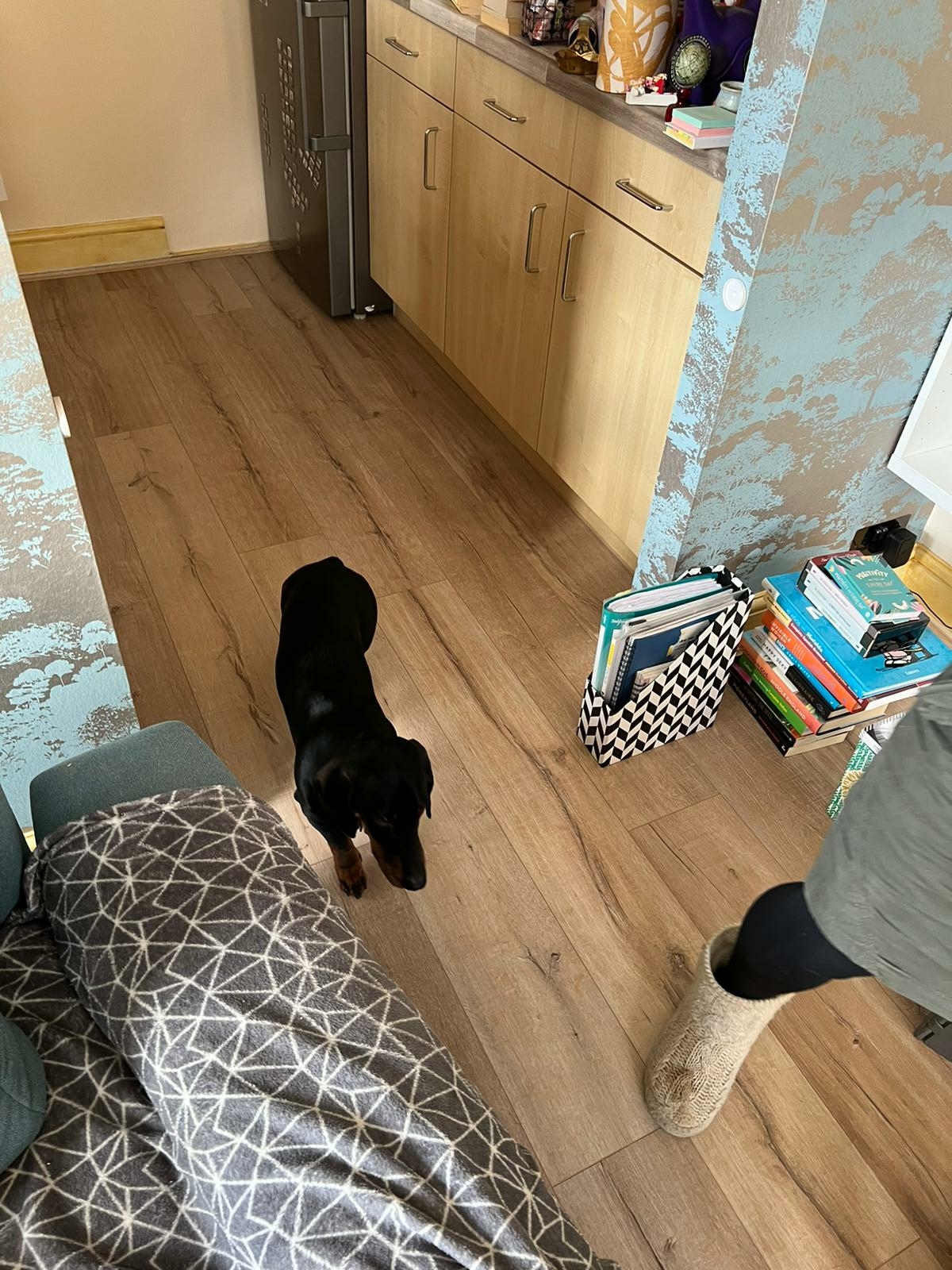 Laminate floor after fitting work in W10