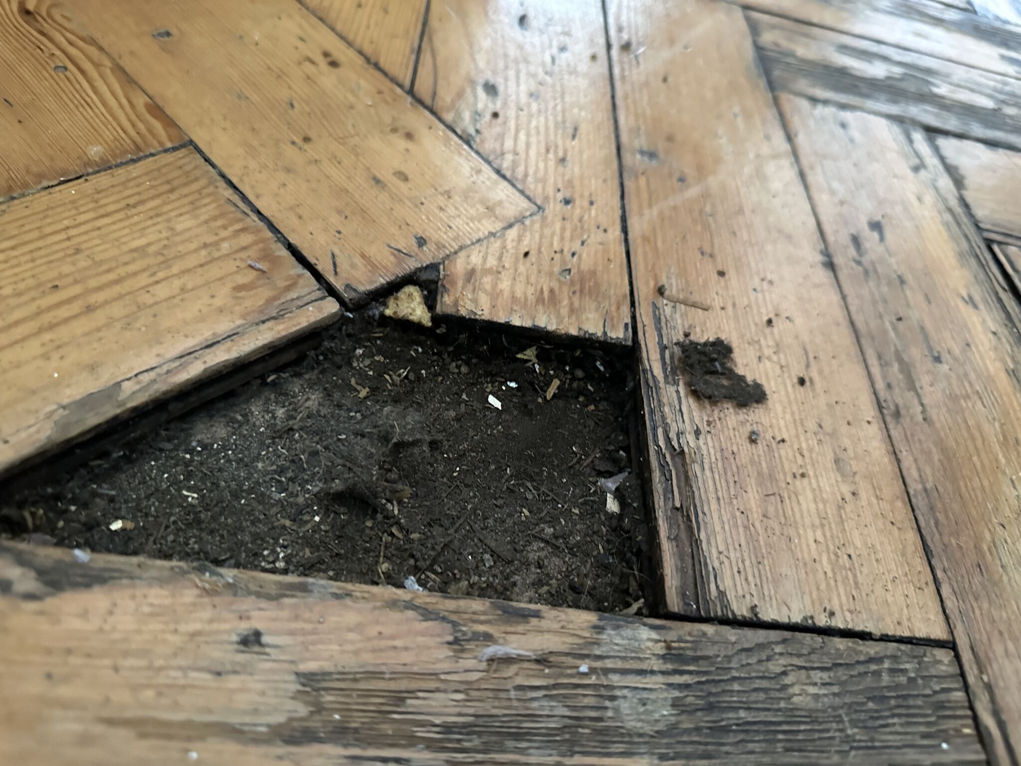 Floor condition before work at W2