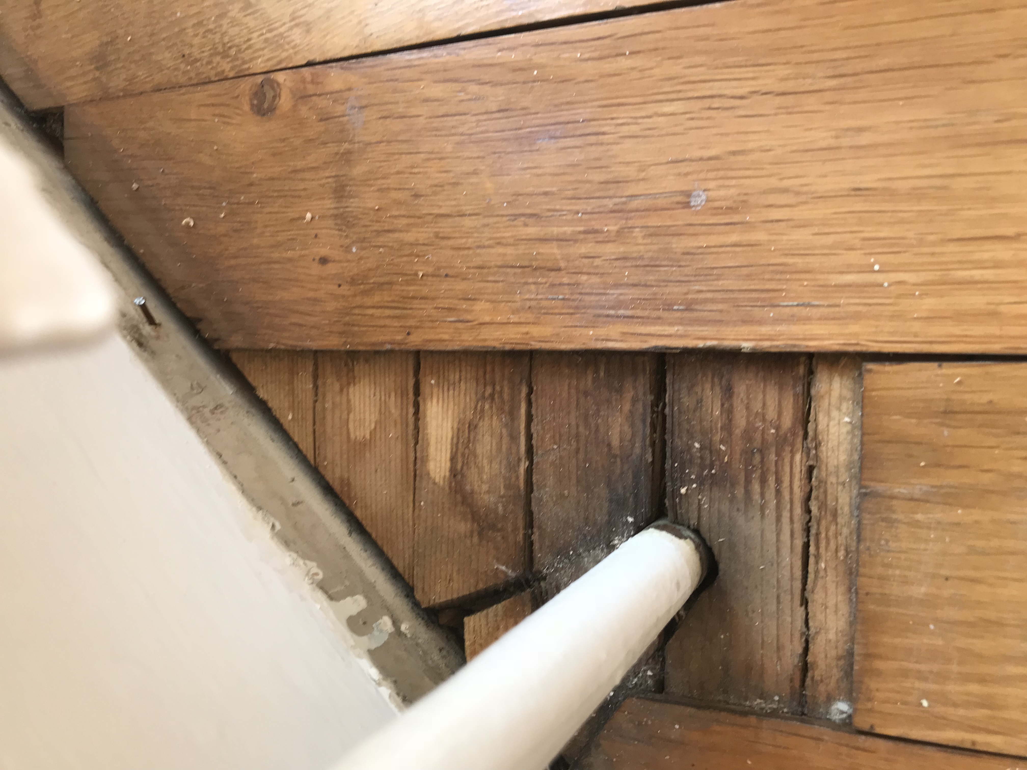 Engineered Wood floor after sanding work in W4